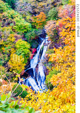 日光 紅葉に映える霧降の滝 103415572