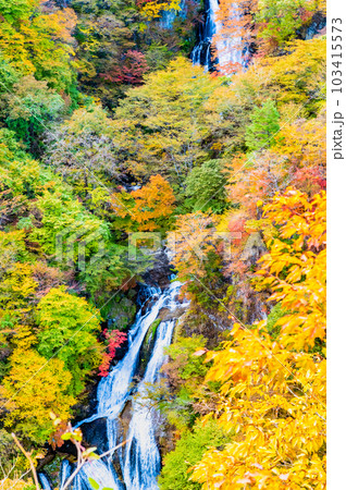 日光 紅葉に映える霧降の滝 103415573