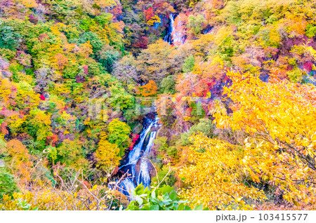 日光 紅葉に映える霧降の滝 103415577