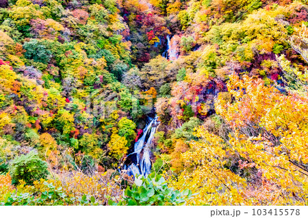 日光 紅葉に映える霧降の滝 103415578