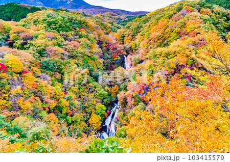 日光 紅葉に映える霧降の滝 103415579