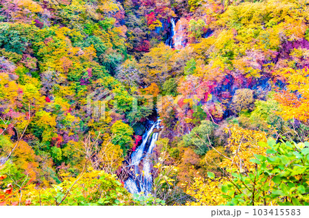 日光 紅葉に映える霧降の滝 103415583