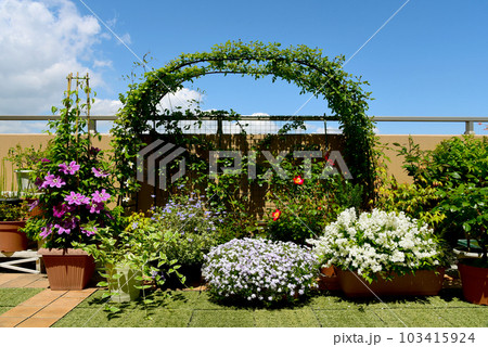 沢山の植物を育てる ルーフバルコニーでガーデニング お花満開の庭の写真素材 [103415924] - PIXTA