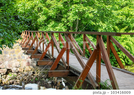Bridge over a forest river among green bushes 103416009