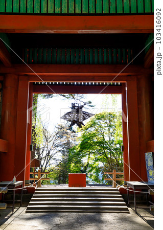春の妙義神社　群馬県富岡市 103416092