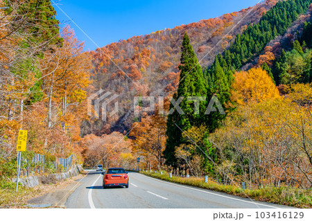 岐阜 黄葉の飛騨せせらぎ街道 岐阜 黄葉の飛騨せせらぎ街道 103416129
