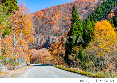 岐阜 黄葉の飛騨せせらぎ街道 103416134