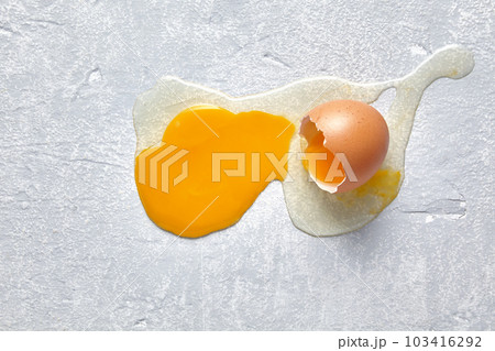 A fallen and broken chicken egg splashed across the concrete floor 103416292