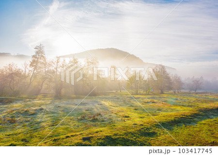 countryside landscape on a misty sunrise. wonderful nature fall scenery in morning light. deciduous forest on a green grassy meadow in fog. stunning weather in autumn 103417745