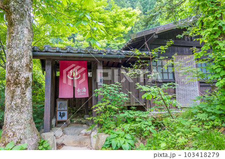 新緑の露天風呂【平湯温泉・平湯の湯】　 103418279