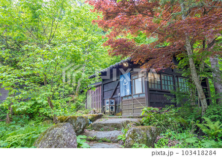 新緑の露天風呂【平湯温泉・平湯の湯】 新緑の露天風呂【平湯温泉・平湯の湯】 103418284