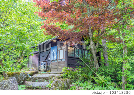 新緑の露天風呂【平湯温泉・平湯の湯】 新緑の露天風呂【平湯温泉・平湯の湯】 103418286