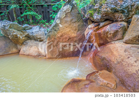 新緑の露天風呂【平湯温泉・平湯の湯】　 103418503