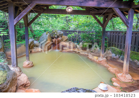 新緑の露天風呂【平湯温泉・平湯の湯】　 103418523