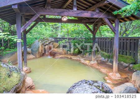 新緑の露天風呂【平湯温泉・平湯の湯】 新緑の露天風呂【平湯温泉・平湯の湯】 103418525