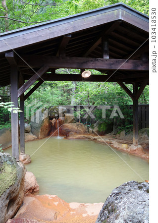 新緑の露天風呂【平湯温泉・平湯の湯】　 103418530
