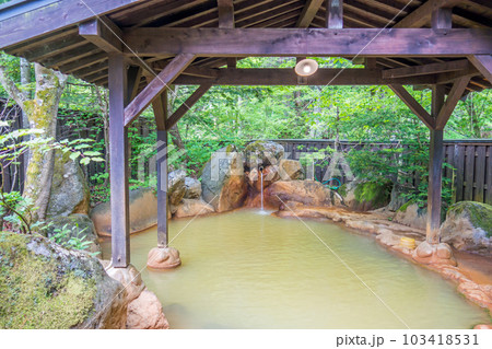 新緑の露天風呂【平湯温泉・平湯の湯】　 103418531