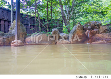 新緑の露天風呂【平湯温泉・平湯の湯】　 103418534