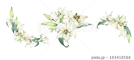 Set of White lily. Floral bouquet. Watercolor illustration. 103418588