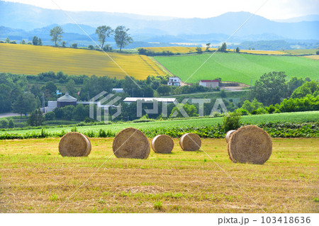 北海道　牧草ロール 103418636