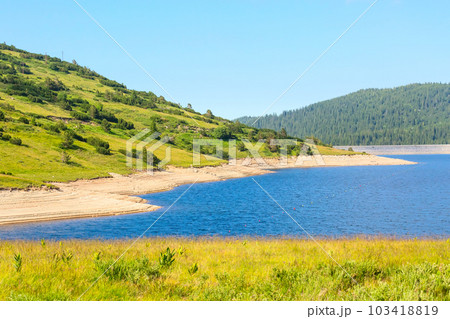 Beautiful Lake and mountains view with pine trees 103418819