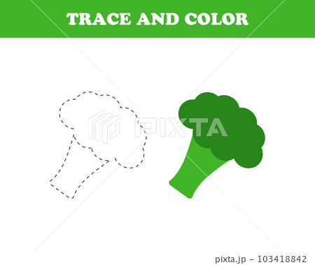 Trace and color worksheet for kids, broccoli, vector. Trace and color worksheet for kids, broccoli, vector. 103418842