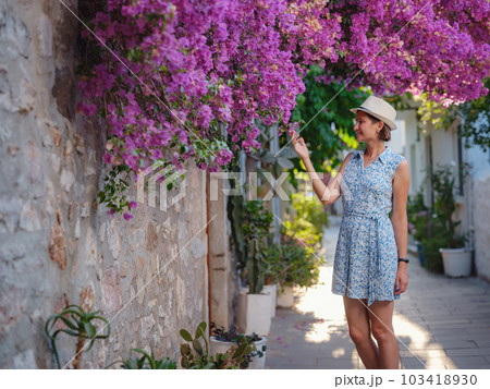 Blooming bougainvillea, streets of the old town of Bodrum, Turkey 103418930