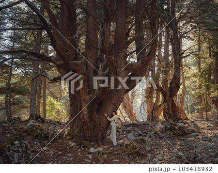 woman enjoys nature, beautiful forest in mountains 103418932