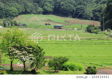 真岡鐵道「田園風景と酪農牧草地帯の丘を背景に走る列車」 103419341