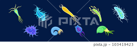Plankton Water Organism with Tentacles Free Floating on Dark Background Vector Set Plankton Water Organism with Tentacles Free Floating on Dark Background Vector Set 103419423