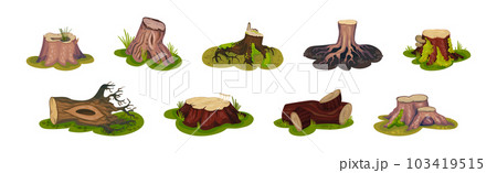 Tree Stump and Old Forest Stub on Green Grass Vector Set Tree Stump and Old Forest Stub on Green Grass Vector Set 103419515