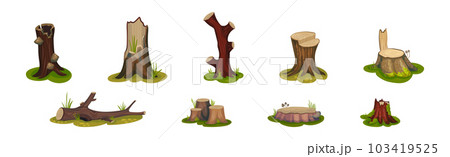 Tree Stump and Old Forest Stub on Green Grass Vector Set Tree Stump and Old Forest Stub on Green Grass Vector Set 103419525