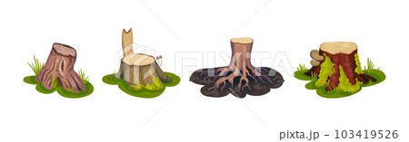 Tree Stump and Old Forest Stub on Green Grass Vector Set Tree Stump and Old Forest Stub on Green Grass Vector Set 103419526