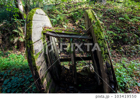 Old rotten coil covered with green moss Old rotten coil covered with green moss 103419550