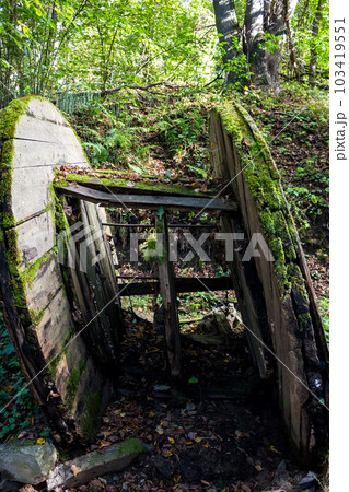 Old rotten coil covered with green moss Old rotten coil covered with green moss 103419551