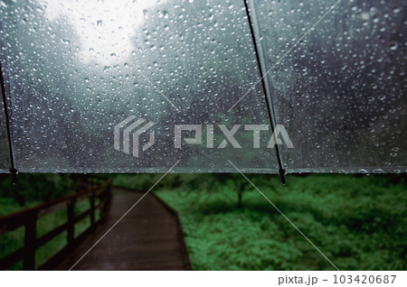 雨天時にビニール袋を差して公園を散歩 103420687