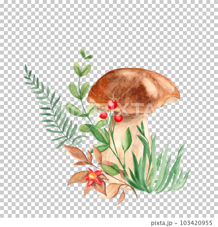 Watercolor forest composition. Porcini mushroom, green branches, grass, red berries and flower. Botanical hand drawn illustration isolated on white background. Can be used for greeting cards, posters 103420955