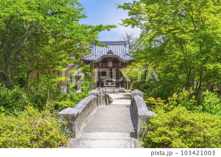 曼殊院天満宮　弁天堂　新緑の季節（京都市左京区一乗寺） 103421003