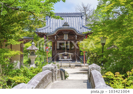 曼殊院天満宮　弁天堂　新緑の季節（京都市左京区一乗寺） 103421004