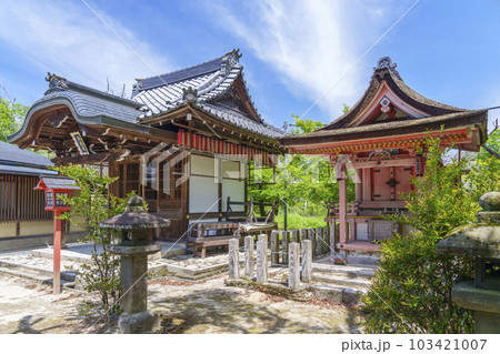 曼殊院天満宮　天満宮　弁天堂　新緑の季節（京都市左京区一乗寺） 103421007