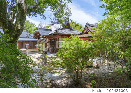 曼殊院天満宮　天満宮　弁天堂　新緑の季節（京都市左京区一乗寺） 103421008