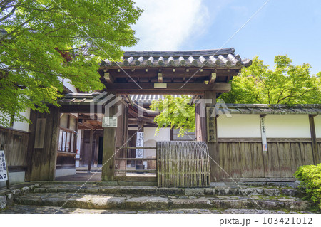 曼殊院門跡　北通用門　新緑の季節（京都市左京区一乗寺） 103421012