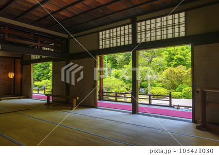 曼殊院門跡　新緑の季節　額縁庭園（京都市左京区一乗寺） 103421030