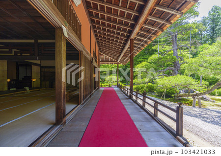 曼殊院門跡 新緑の季節 廊下(京都市左京区一乗寺) 曼殊院門跡 新緑の季節 廊下(京都市左京区一乗寺) 103421033