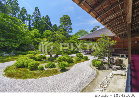 曼殊院門跡 新緑の季節 枯山水庭園(京都市左京区一乗寺) 曼殊院門跡 新緑の季節 枯山水庭園(京都市左京区一乗寺) 103421036