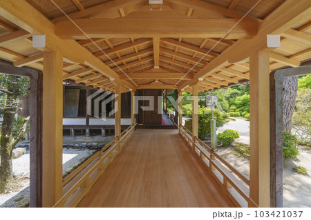 曼殊院門跡　再建された宸殿（京都市左京区一乗寺） 103421037