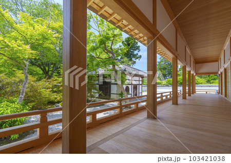 曼殊院門跡 再建された宸殿(京都市左京区一乗寺) 曼殊院門跡 再建された宸殿(京都市左京区一乗寺) 103421038