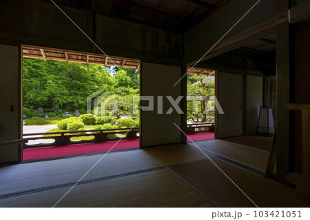 曼殊院門跡　新緑の季節　額縁庭園（京都市左京区一乗寺） 103421051