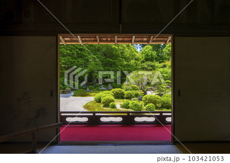 曼殊院門跡 新緑の季節 額縁庭園(京都市左京区一乗寺) 曼殊院門跡 新緑の季節 額縁庭園(京都市左京区一乗寺) 103421053