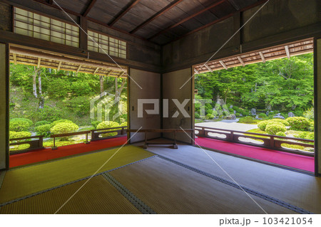曼殊院門跡 新緑の季節 額縁庭園(京都市左京区一乗寺) 曼殊院門跡 新緑の季節 額縁庭園(京都市左京区一乗寺) 103421054